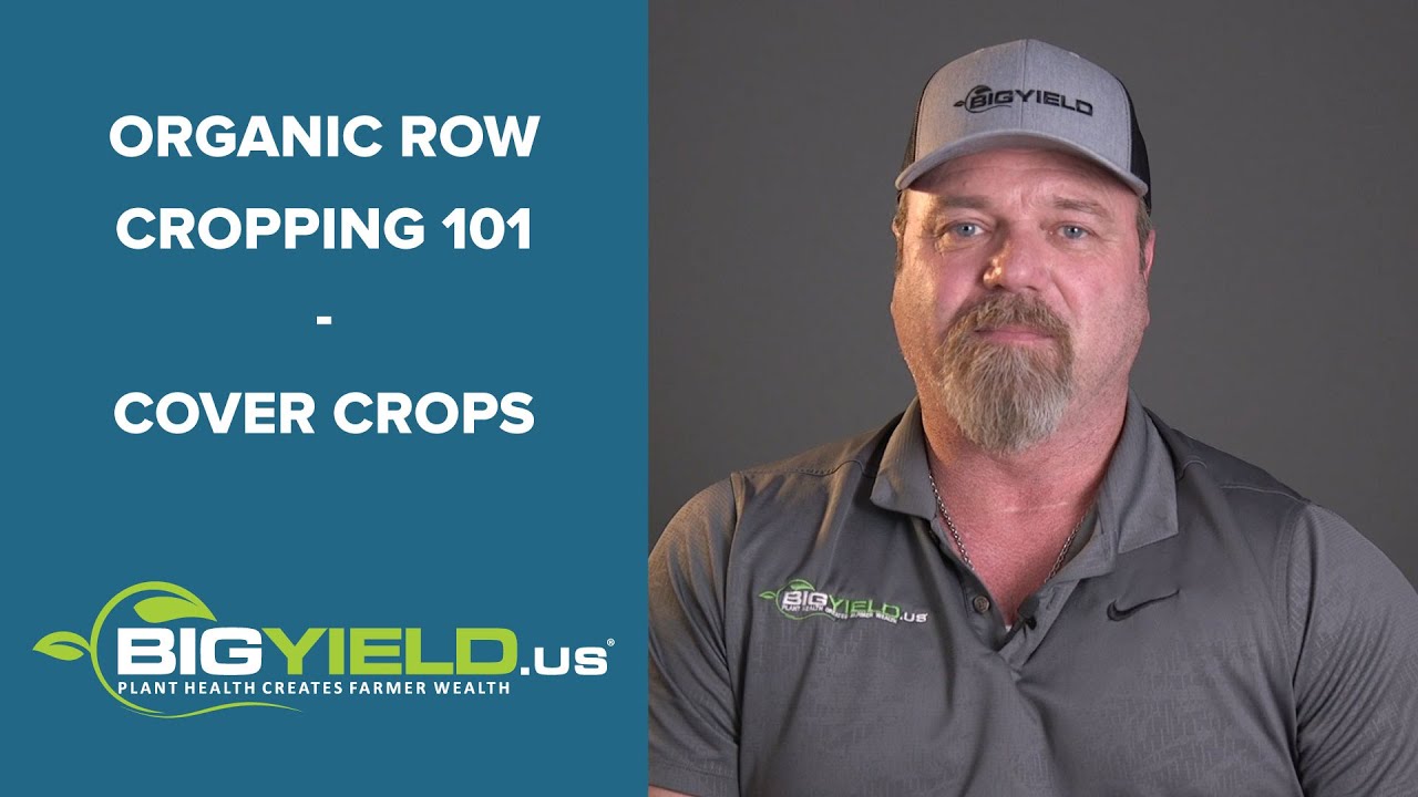 Cover Crops | Organic Row Cropping 101