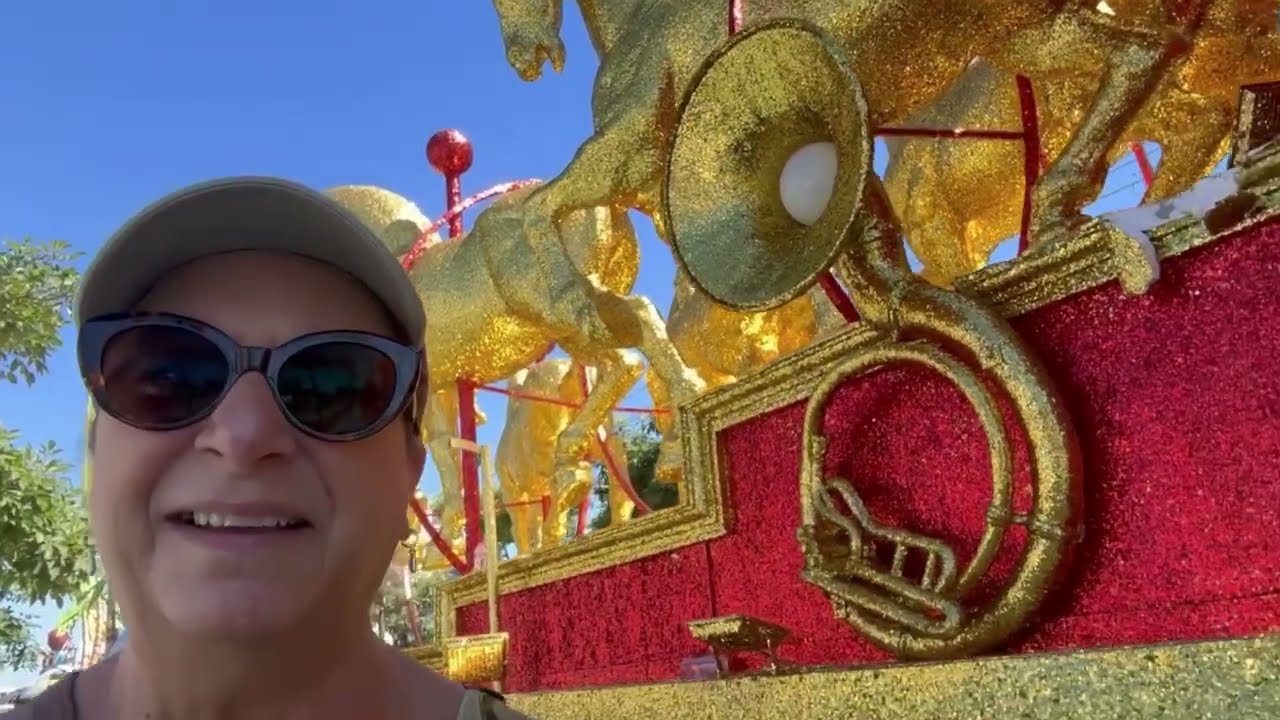 What did we find today in Mazatlan 