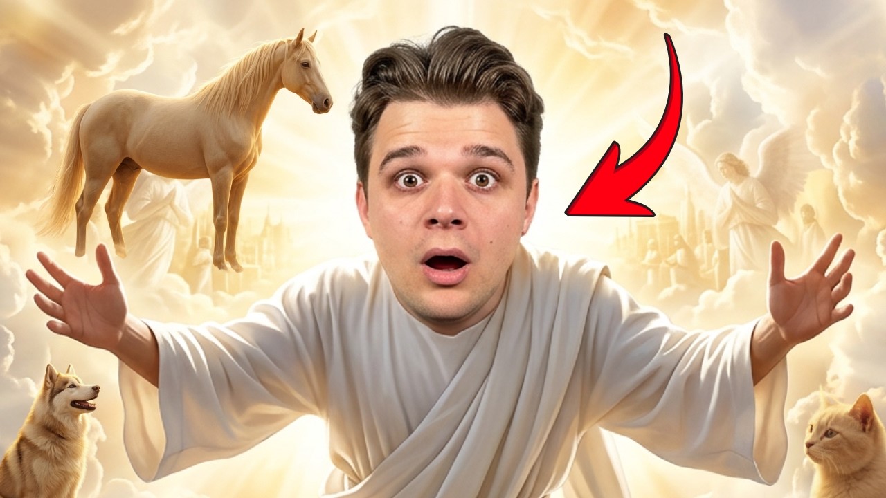 He was taken to heaven and saw this!