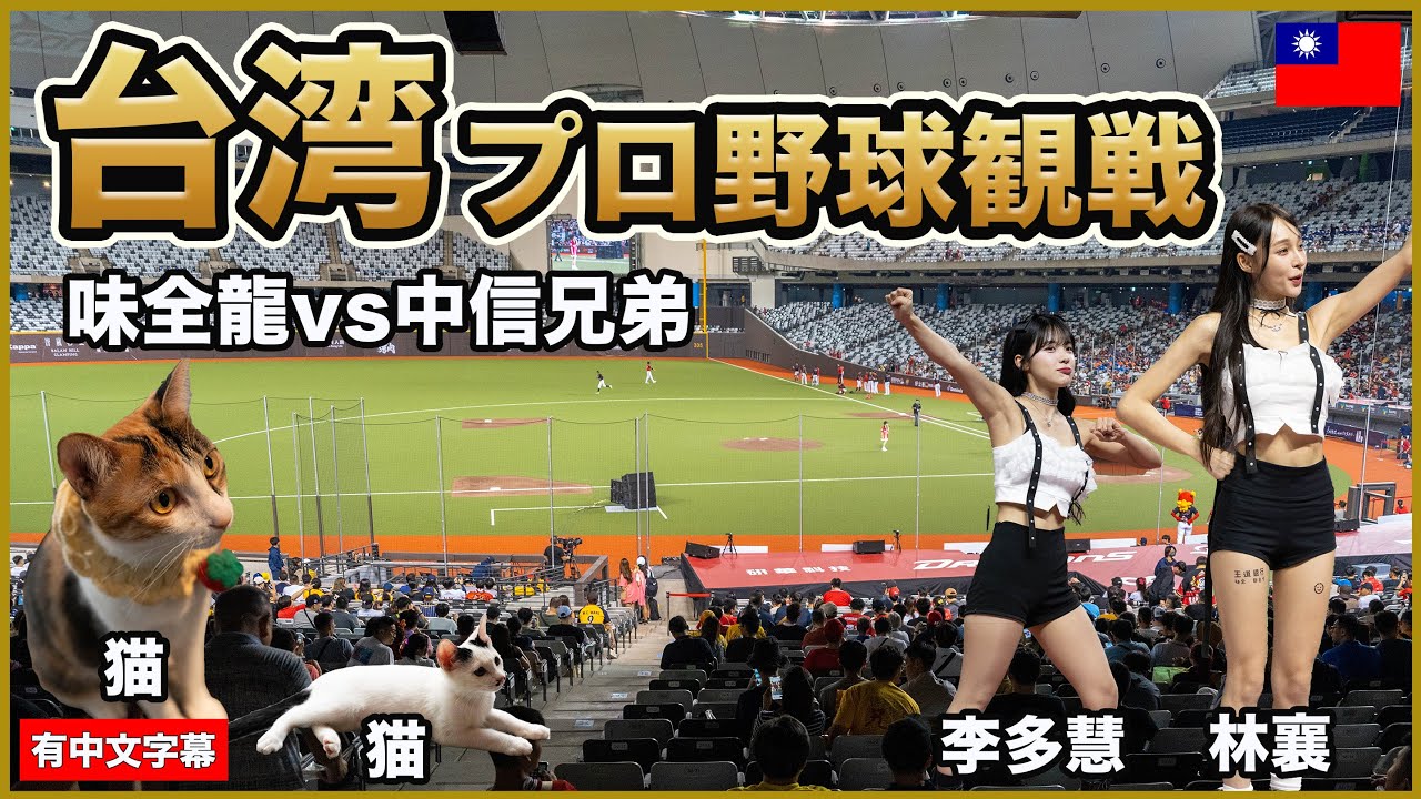 台北ドームで台湾プロ野球観戦！台湾で一番お気に入りの猫カフェも紹介します🤗【台湾🇹🇼120】