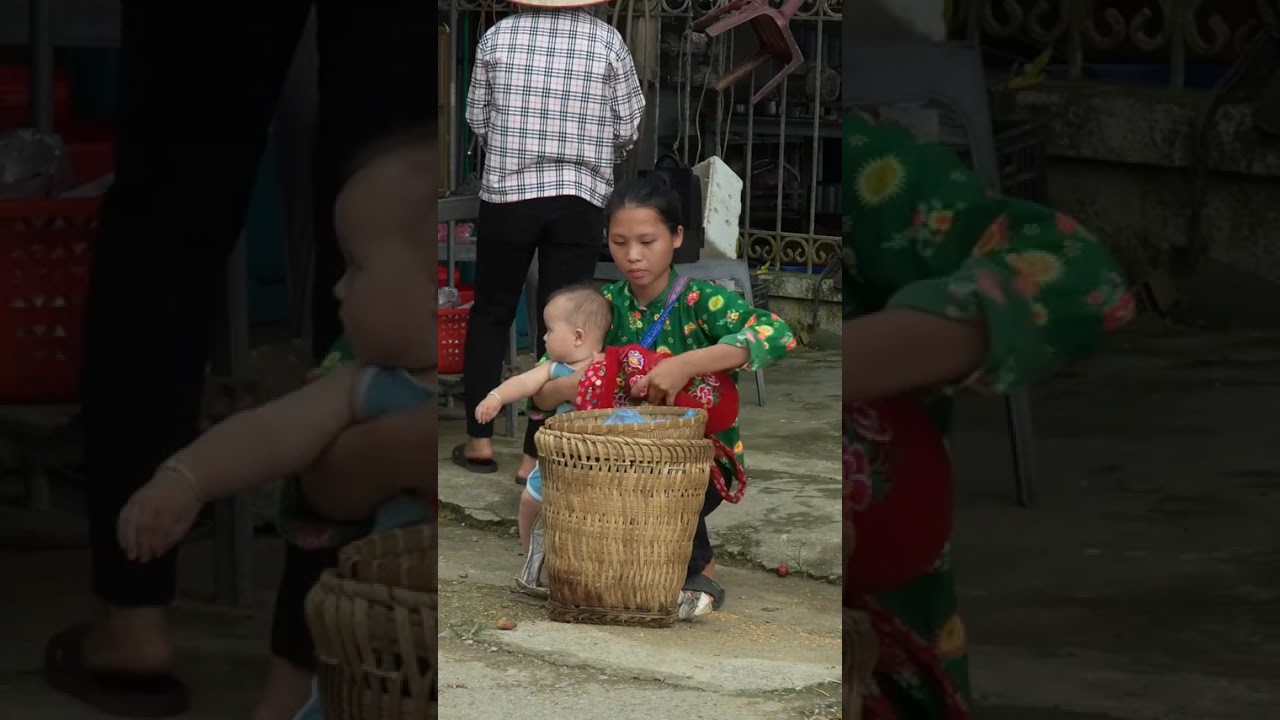 Fresh from the Nest: Watch Us Harvest Farm-Fresh Chicken Eggs for Market
