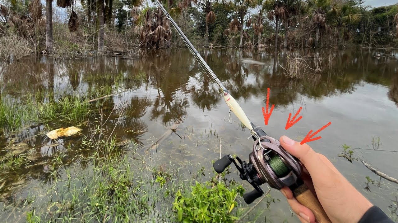 Será que a Valiante Eagle 2 é tudo isso mesmo? 🤔🎣