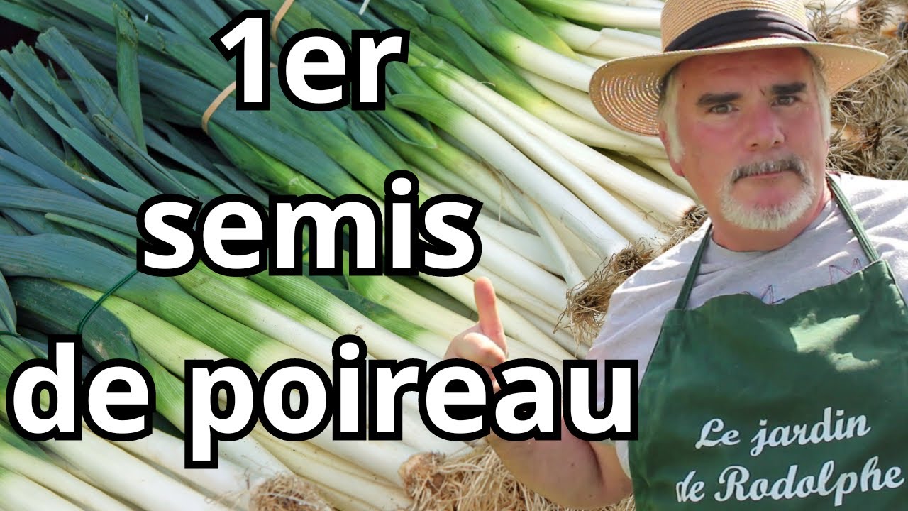 Découvrez le Semis en Plaques Qui Change Tout ! Techniques Révolutionnaires pour Semer des Poireaux