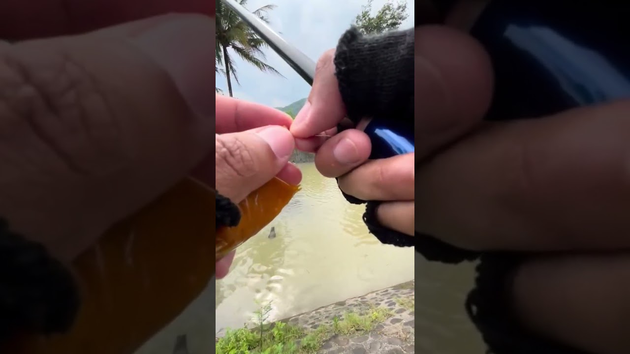 Spot mancing KETEMU ULAR KOBRA JAWA !!!! Hati-hati jika mancing 
