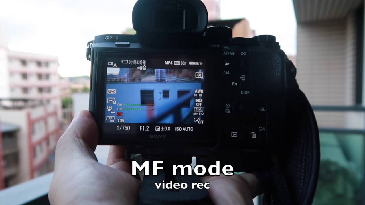 Sony A7rii +Sigma mc-11+ canon 50mm f1.2 L Auto Focus Speed Test in Video Mode