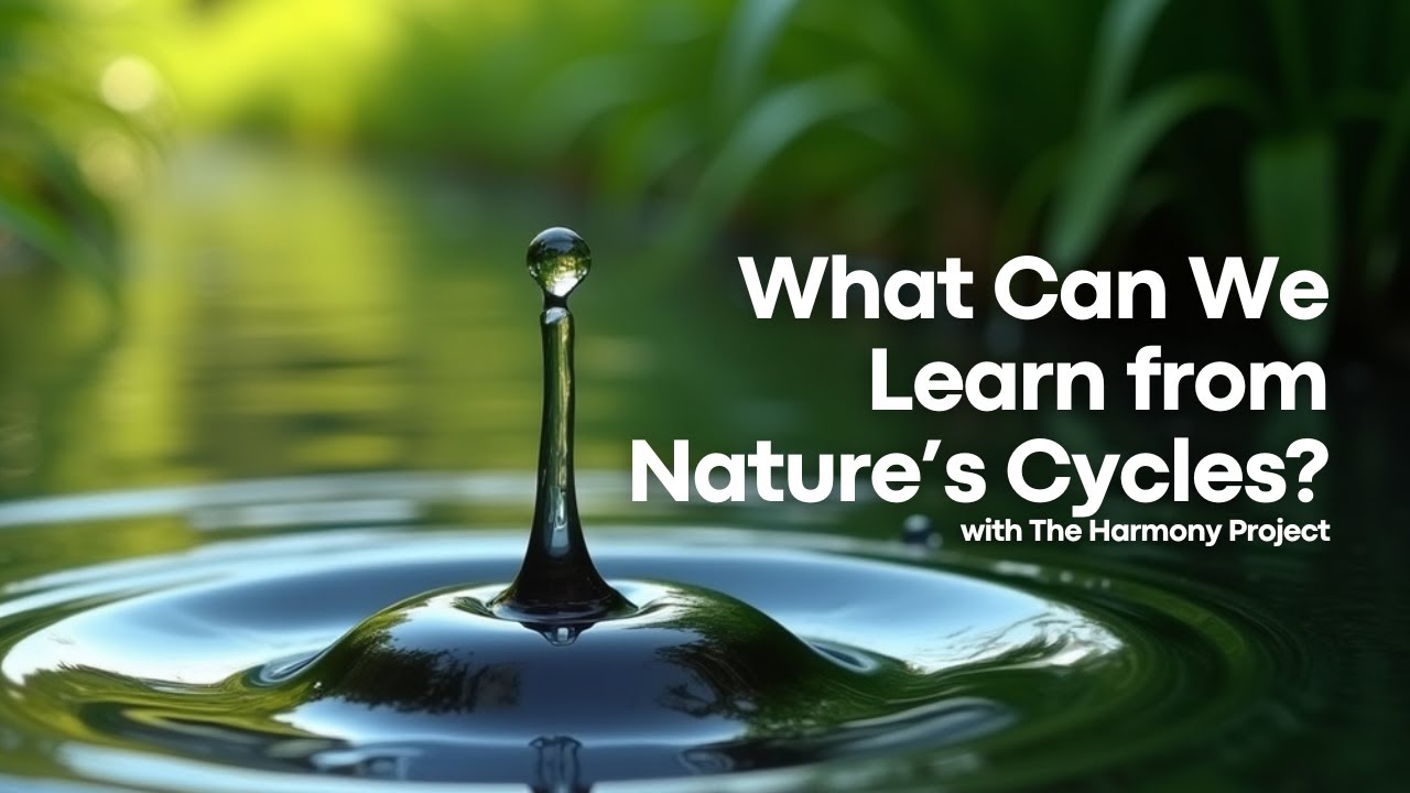 What Can We Learn from Nature’s Cycles? | The Harmony Project | Pure Land Foundation