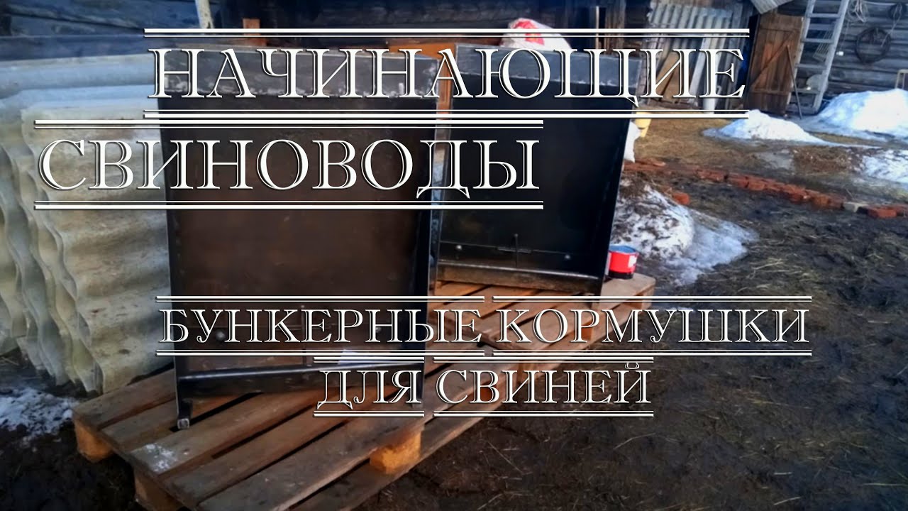 Бункерная кормушка для свиней