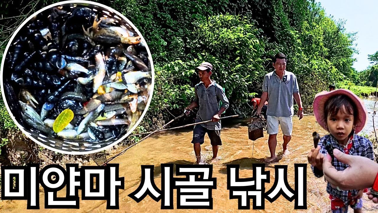 난생 처음 보는 광경...미얀마 시골 냇가에서 낚시하기! | Healing trip in Myanmar #3 | မြန်မာသဘာဝဆန်တဲ့နယ်အတွေ့အကြုံ#3