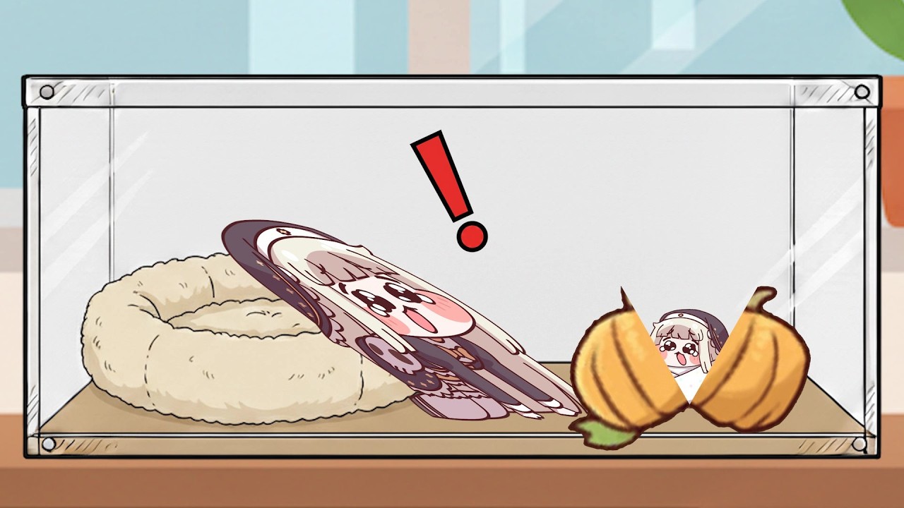ｽﾋﾟｷと新たなｽﾋﾟｷ