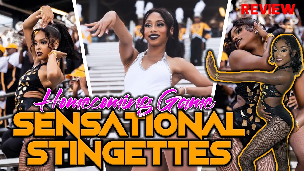 ASU Sensational Stingettes | Homecoming Game 2024| Review 🐝🐝