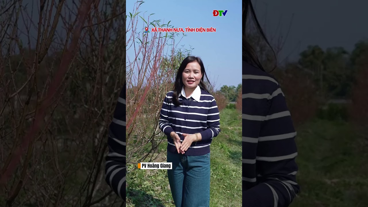 L&agrave;ng hoa, c&acirc;y cảnh trước vụ Tết | Điện Bi&ecirc;n TV
