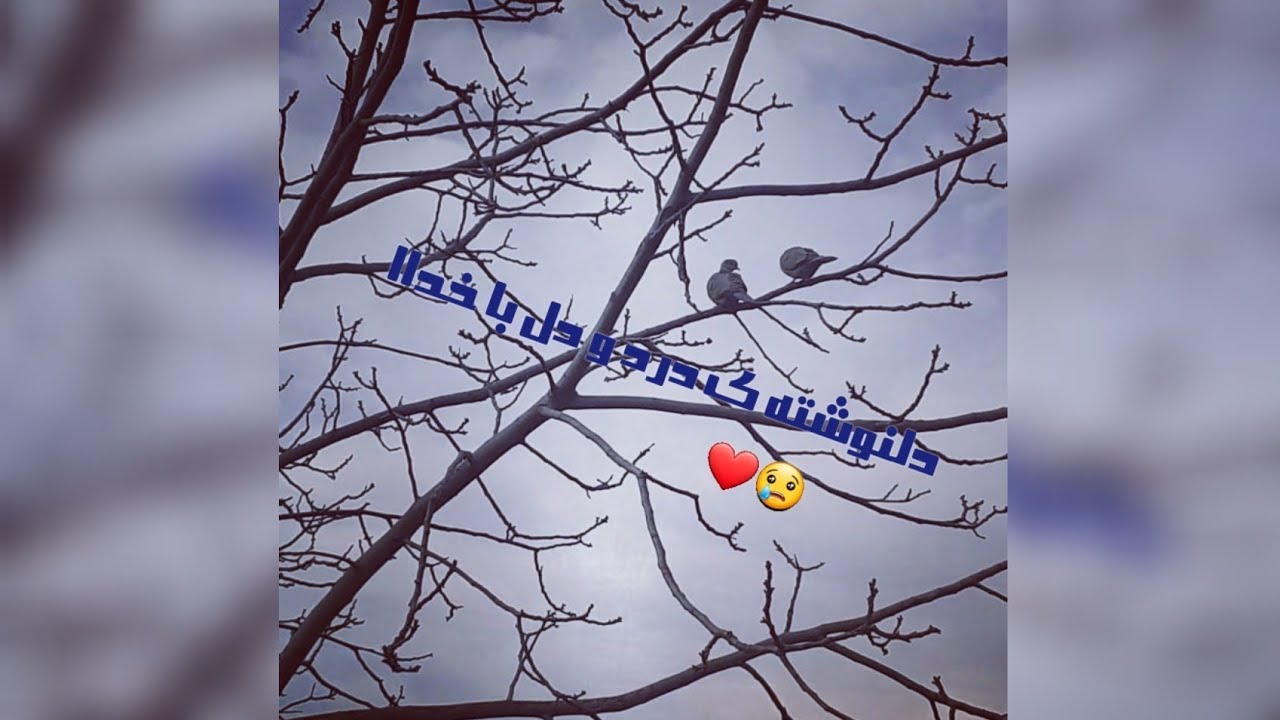 دلنوشته ی دردو دل با خدا_وقتی دلت گرف باخدا حرف بزن😕