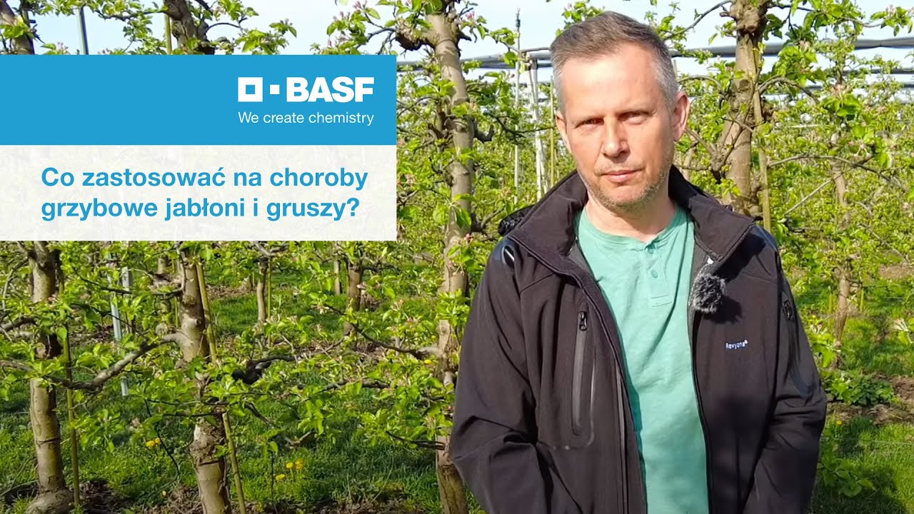 Co zastosować na choroby grzybowe jabłoni i gruszy?