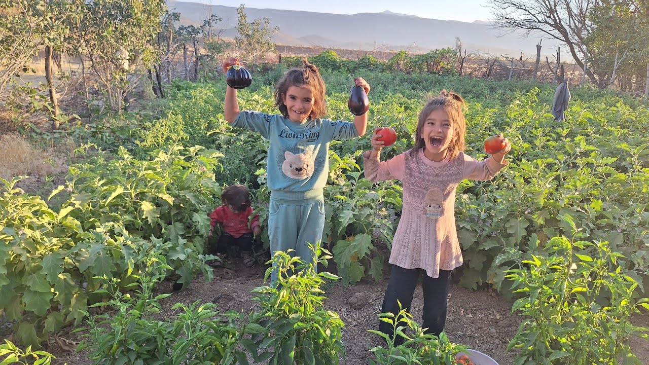 You Won&rsquo;t Believe How Nomadic Girls Live! 🌿🐑❤️