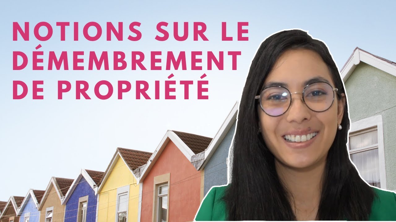 Immobilier : c'est quoi la pleine propriété, l'usufruit et la nue propriété ?