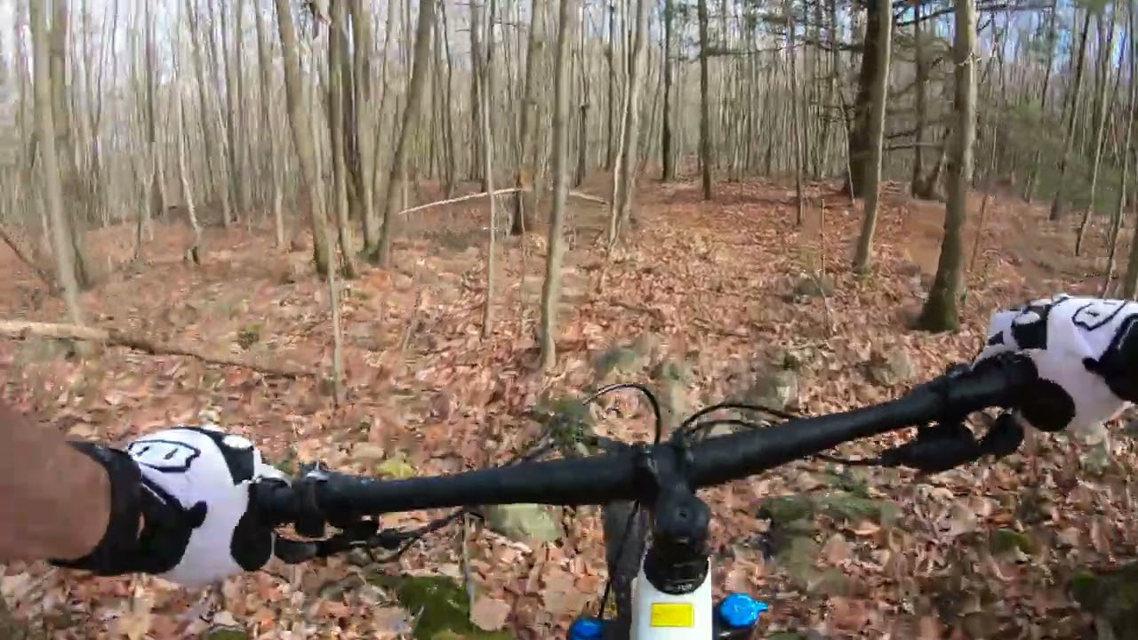 Southern Michaux State Forest Ride