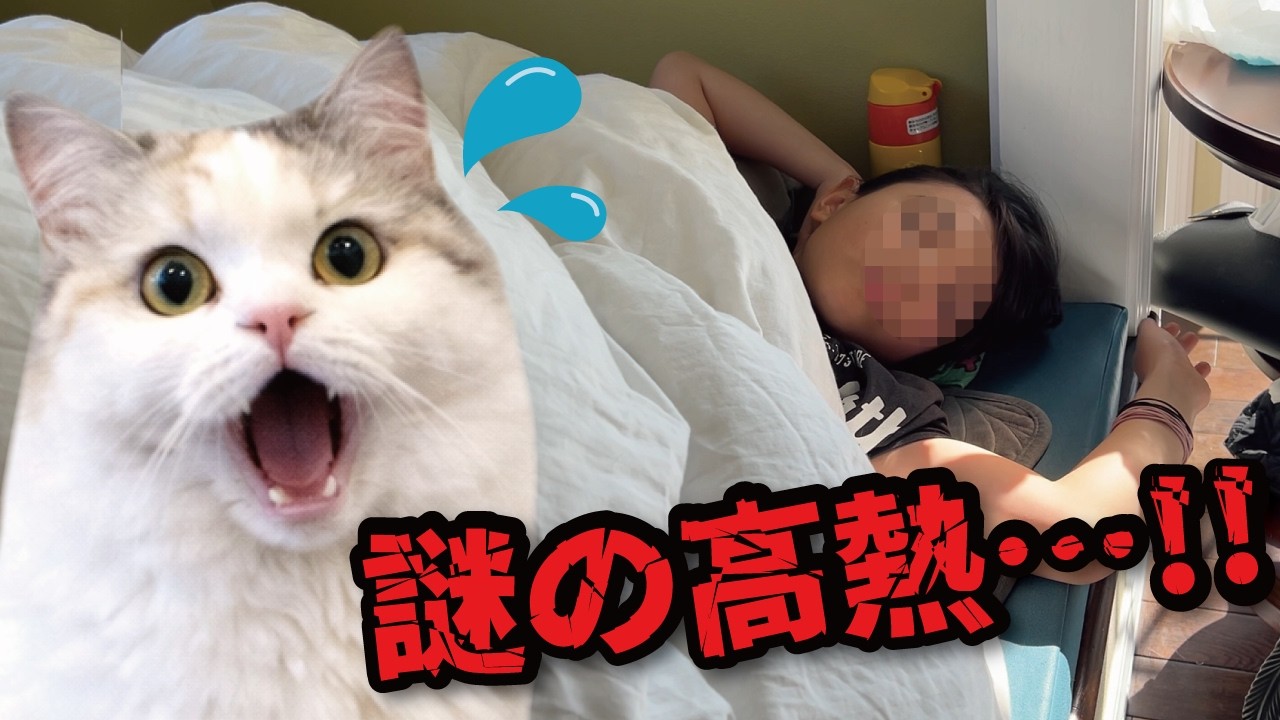 ミニ奥さんが40度の高熱でダウンしました…！💦