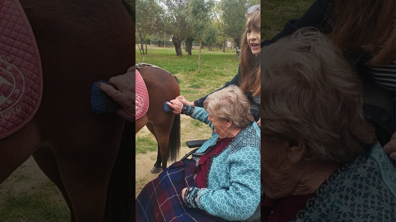 Ponis en el parque de Fresnos: actividad intergeneracional en residencia Soto Fresnos