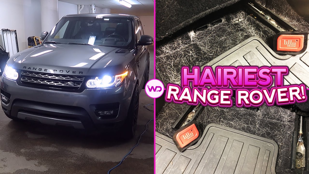 Deep Cleaning a Girl's HAIRY Range Rover | EXTREME Dog Hair Removal | Very Satisfying Car Detailing
