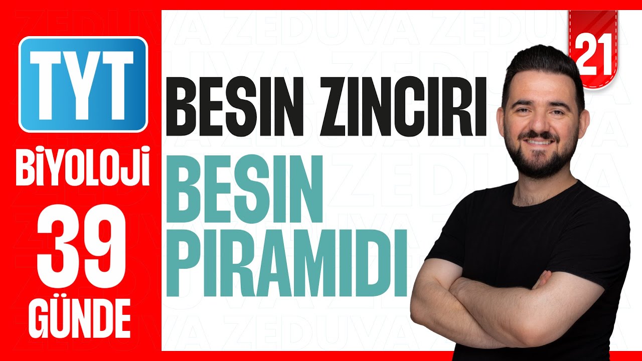 Besin Zinciri Besin Piramidi Soru Çözümü | 39 GÜNDE AYRINTILI TYT BİYOLOJİ KAMPI 2026-27 | 21