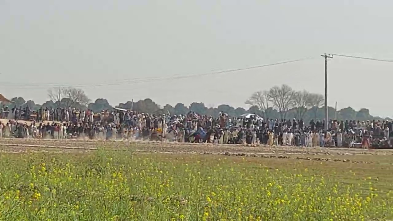 pakistan first class chobaz champion ghoreyan. at mela Azhar khan leghari 17.2.2024
