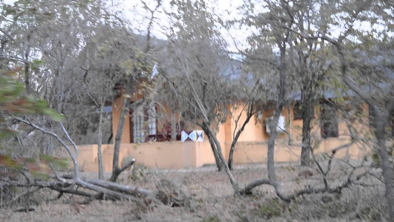 Elephant at Yingwe Hotel Phalaborwa