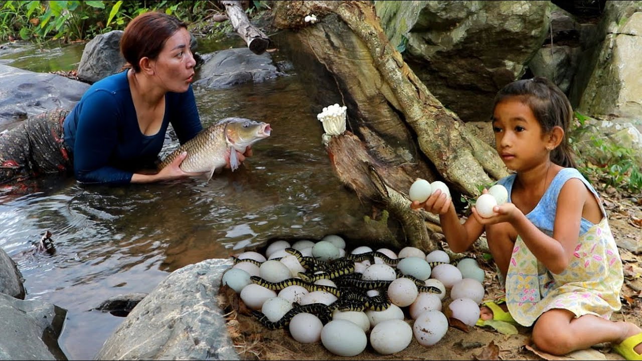 Catch big fish& pick egg of survival- Cooking fish soup & egg curry spicy with mushroom so delicious