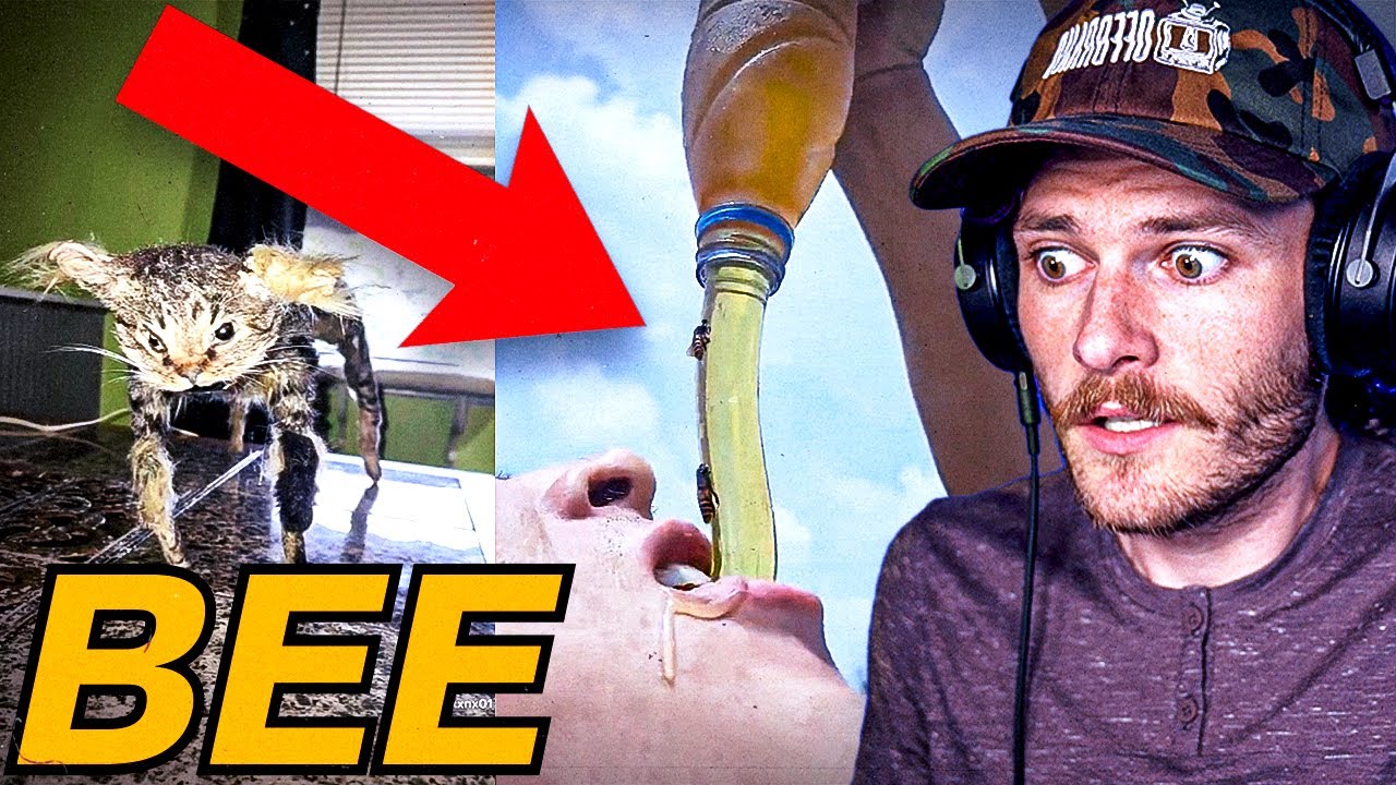 If regret was a video, this would be it...