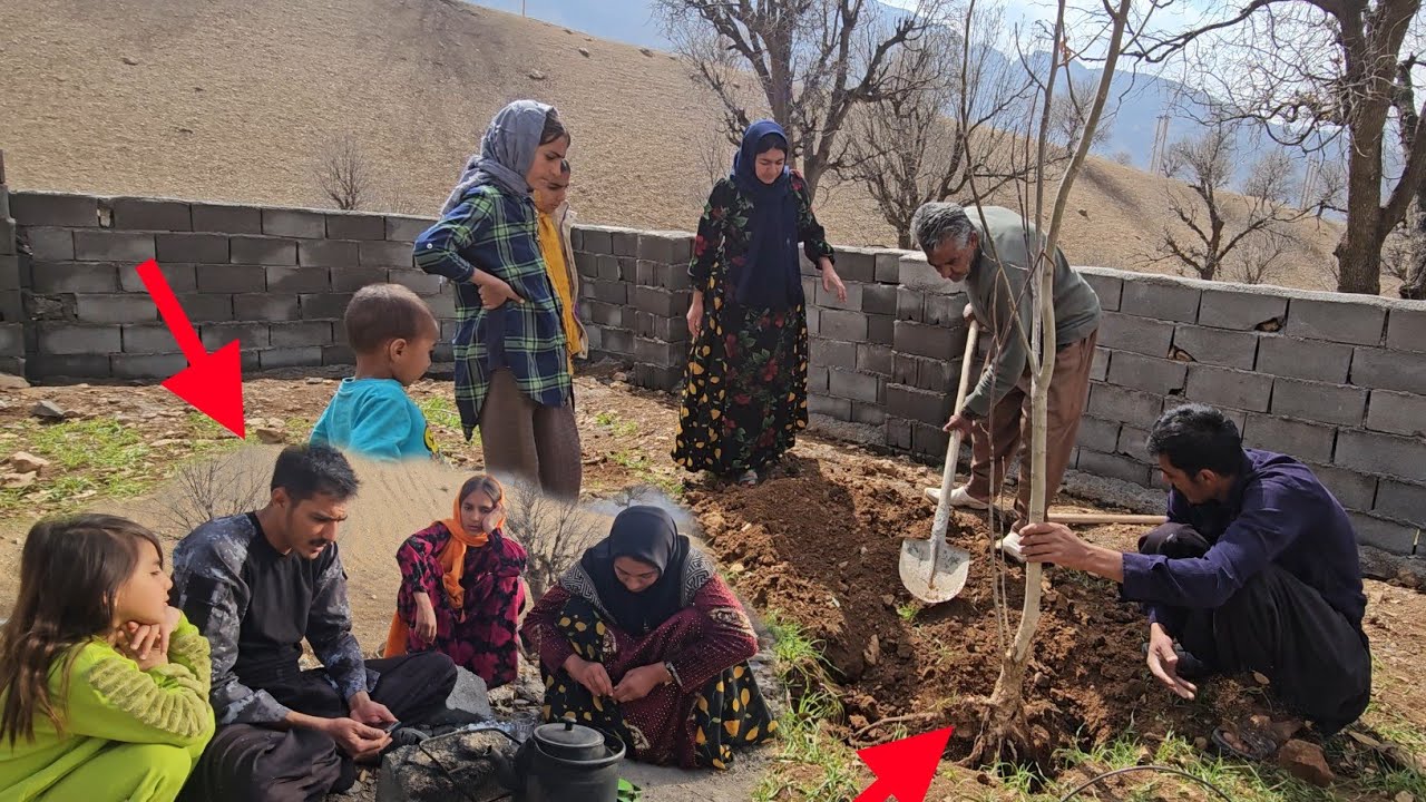 Complete tree planting in the yard and Rajab's conversation with the operator