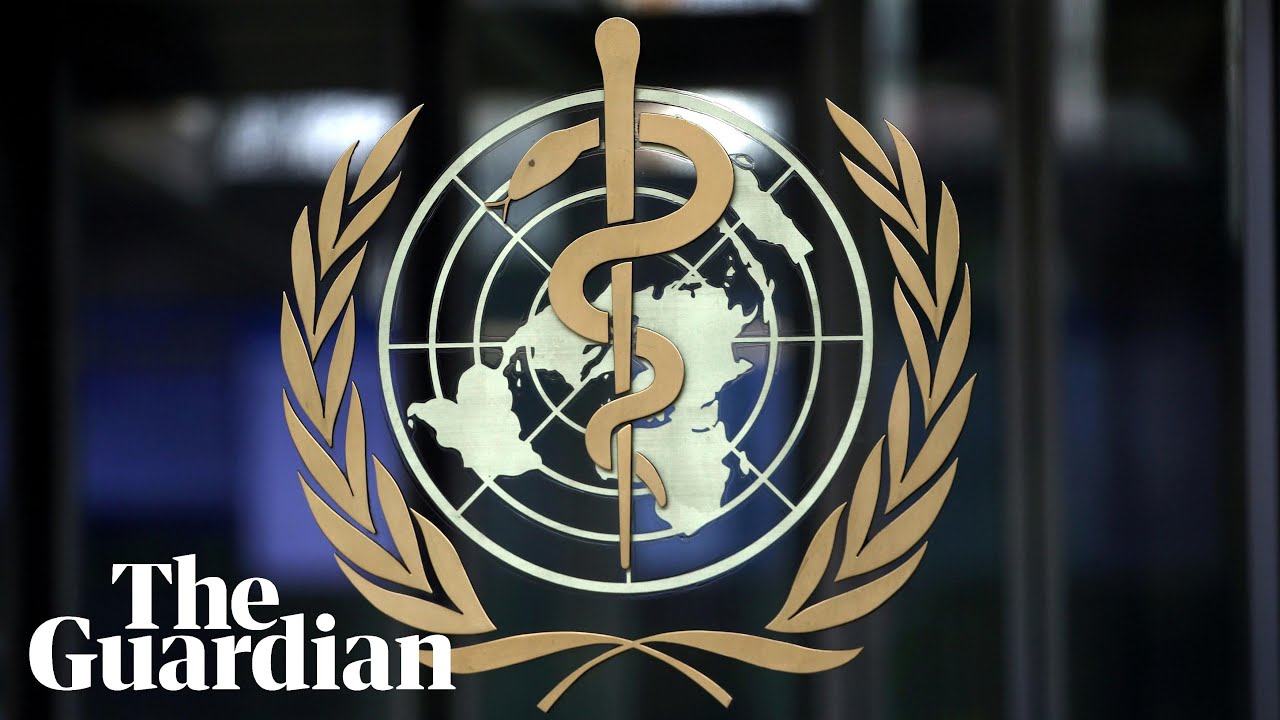 Coronavirus: WHO holds briefing on the outbreak &ndash; watch live