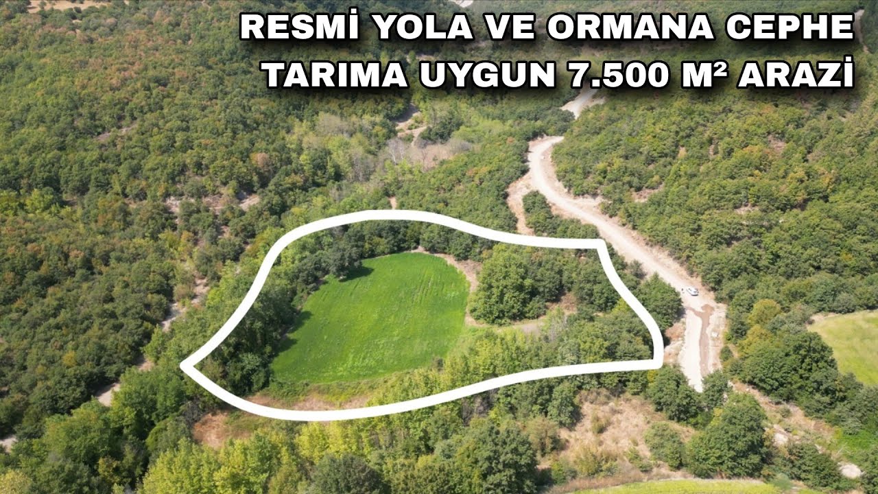 2185- RESMİ YOLA VE ORMANA CEPHE TARIM, HAYVANCILIK İÇİN UYGUN 7.500 M² ARAZİ