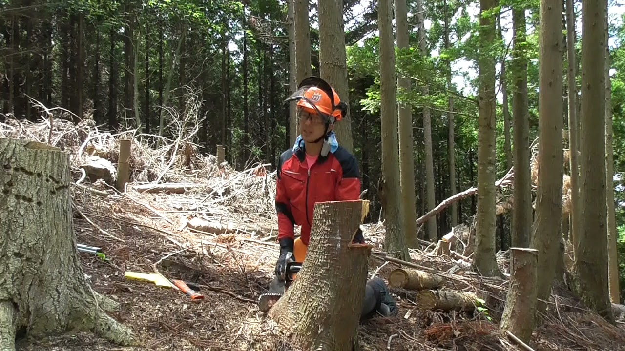 追い口の切り込み方