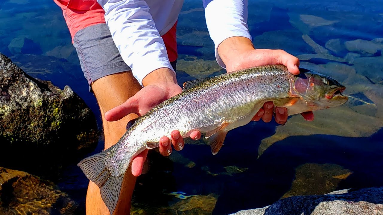 I Went Fishing In CRATER LAKE And This is What Happened!?!??