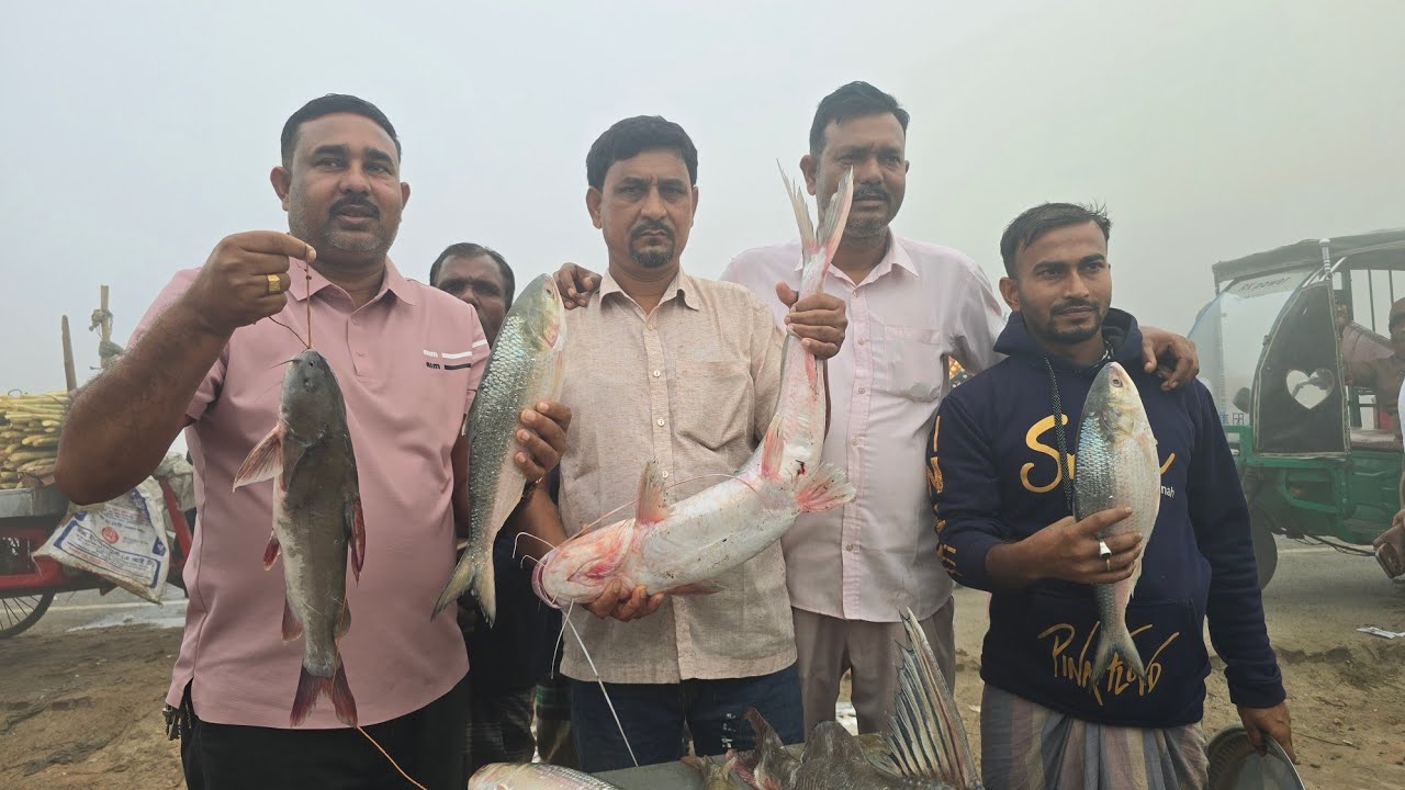দৌলতদিয়া পাইকারি মাছের বাজার থেকে..পদ্মা নদীর যে কোনো মাছের জন্য এখনি যোগাযোগ করুন #need_01712293380