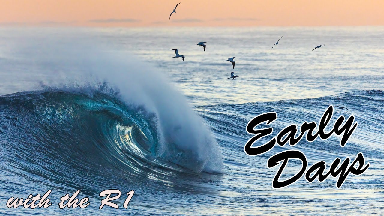 Early Days with the Canon R1, Photographing Waves, Birds in Flight & More in Hawaii