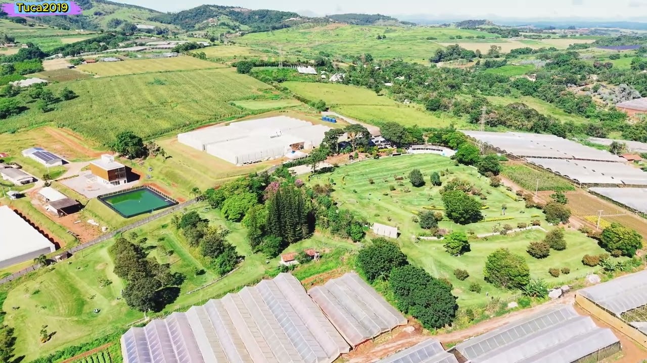 Figueira Garden e Chico Saito