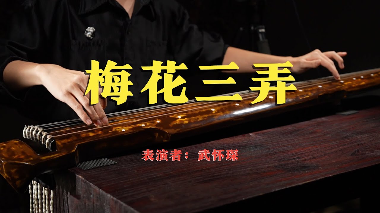 【Guqin】《梅花三弄》武怀琛 | Meihua Sannong by Huaichen Wu