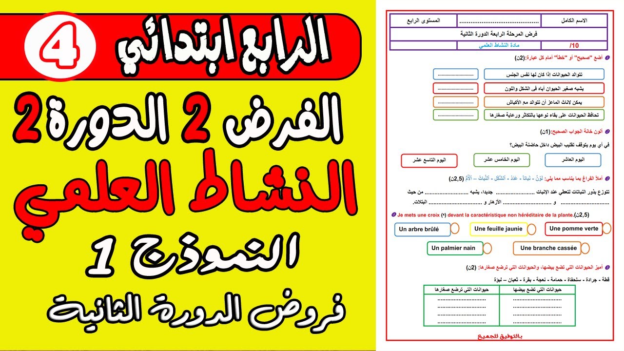 فروض المرحلة الرابعة المستوى الرابع| الفرض الثاني الدورة الثانية النشاط العلمي المستوى الرابع نموذج1