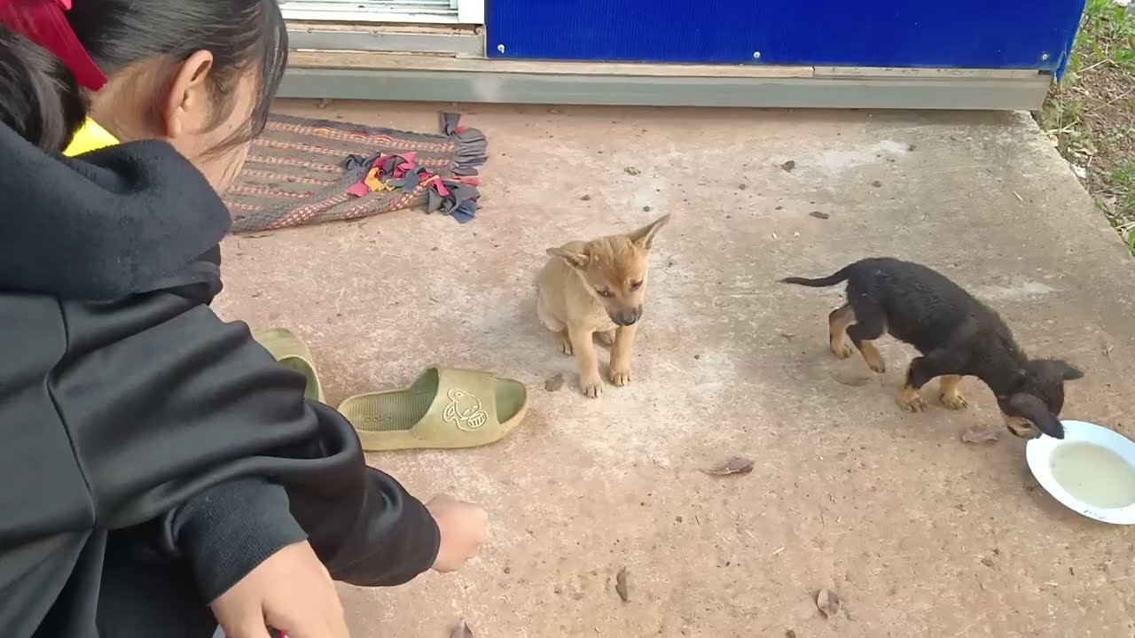 บรรยากาศยามเช้าก่อนเด็กๆ ไปเรียน ใครมาป่วนหน้าร้าน #ปุ๊แม่น้องหมิว 