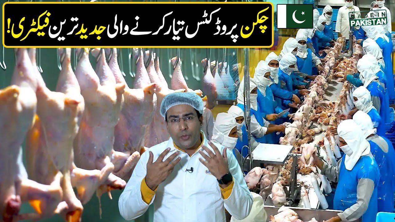 Modern Chicken Meat Processing Factory In Pak | Made In Pakistan