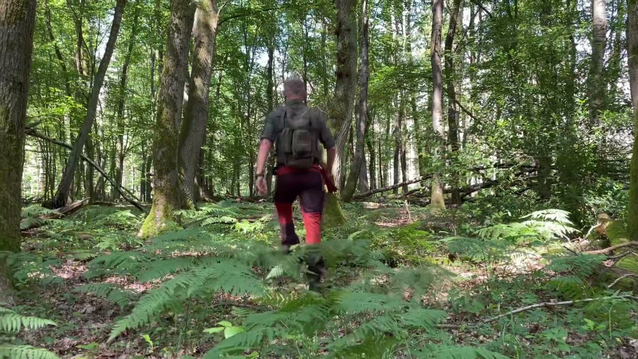 RevolutionRace .Spodnie &bdquo;dla każdego&rdquo;.