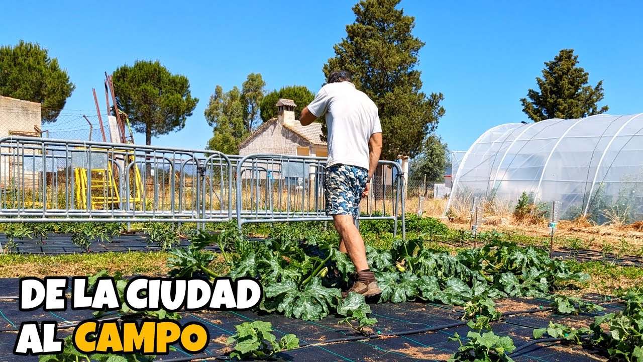[DIARIO DE CAMPO CAP. 22] Mi huída de la ciudad al campo mientras trabajo el huerto bajo la lluvia