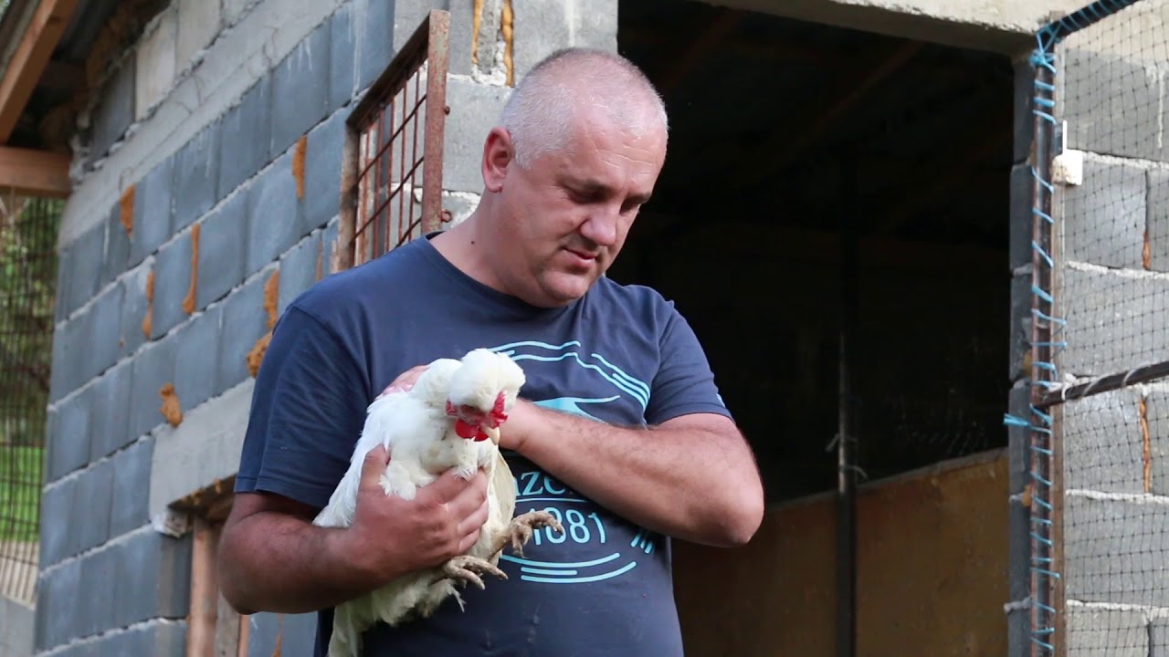 ASMIR KAKNJO - Prijatelji životinja