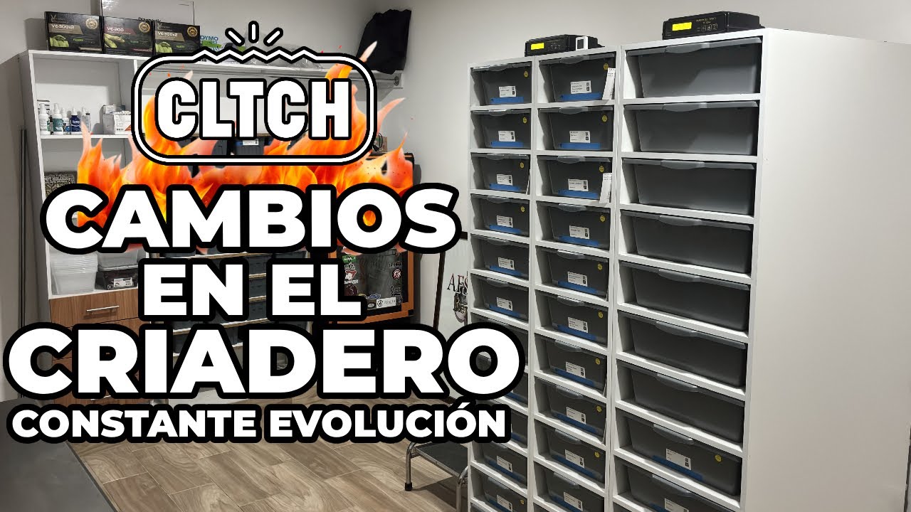 Renovando nuestras intalaciones, tuppers Freedom Breeder y mucho más 🔥| Afsand R.