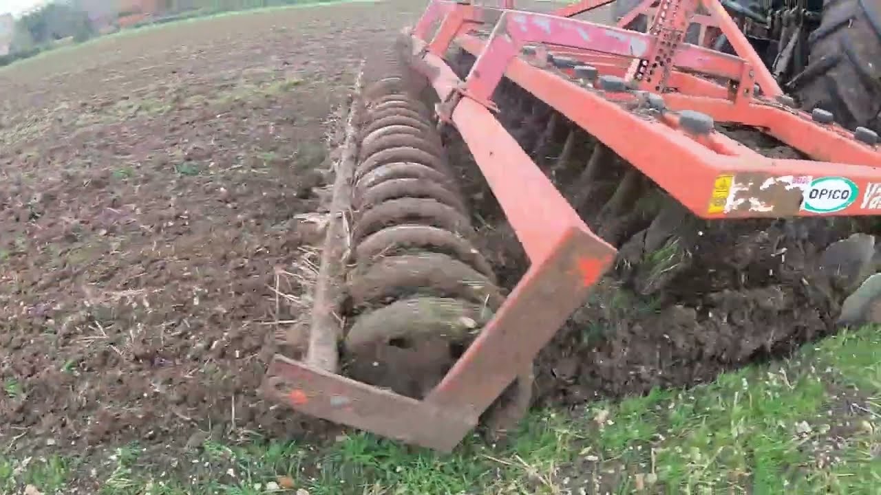 Opico Vari Disc Doing its thing ,  Cattle & Pigs Getting Ready for the off.