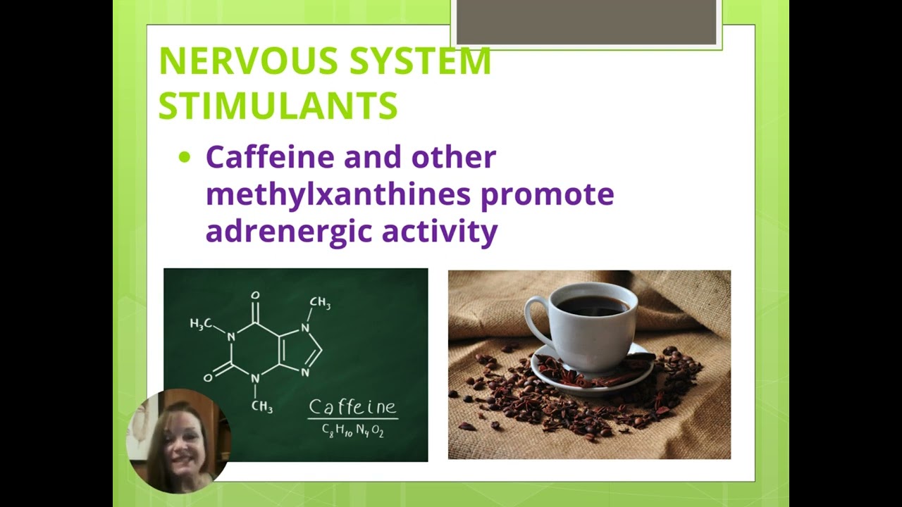 BEGINNER HERBALIST FILES: ACTION of HERBS - Stimulants