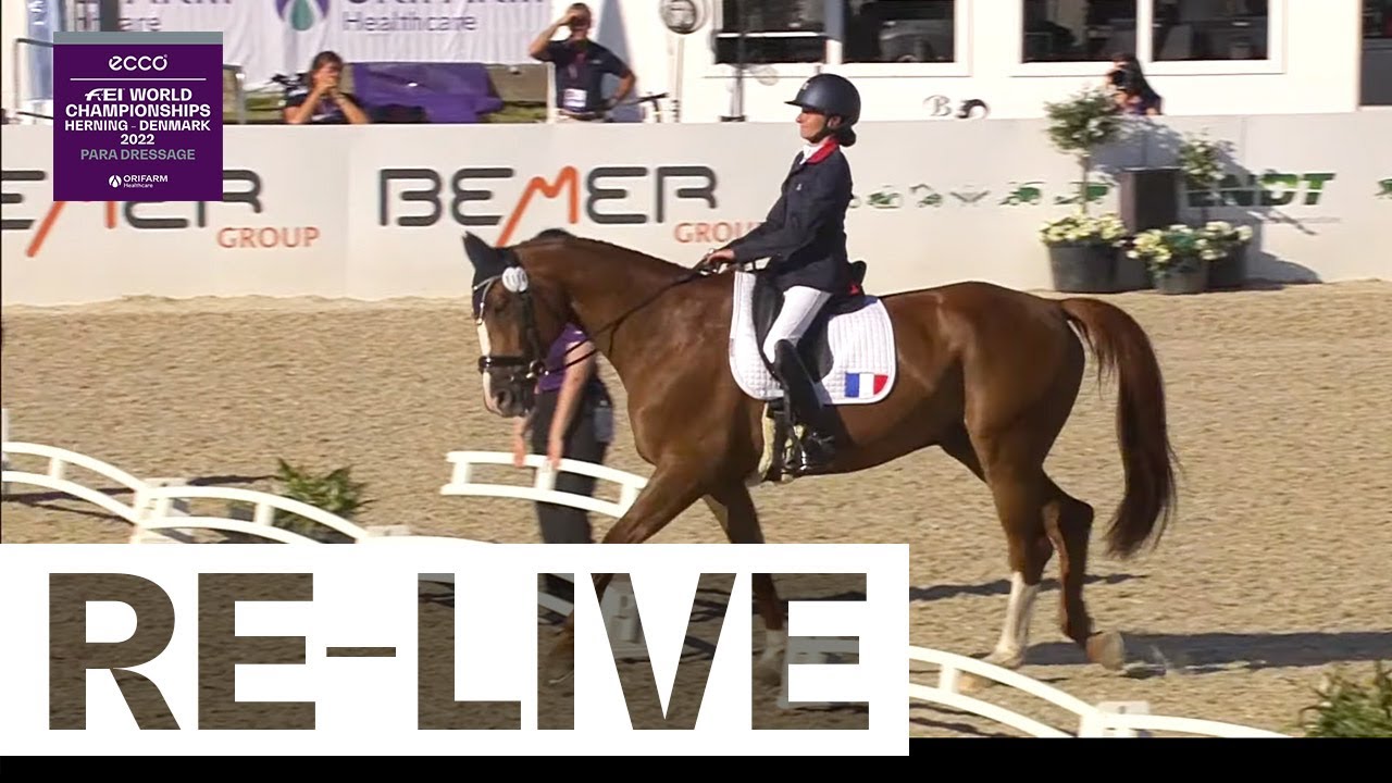 RE-LIVE  | Team - Grade I - Para Dressage - ECCO FEI World Championships 2022