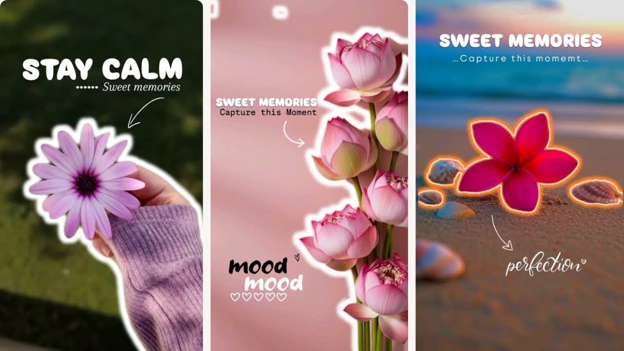 Cool and Aesthetic Instagram Story Ideas #viral 