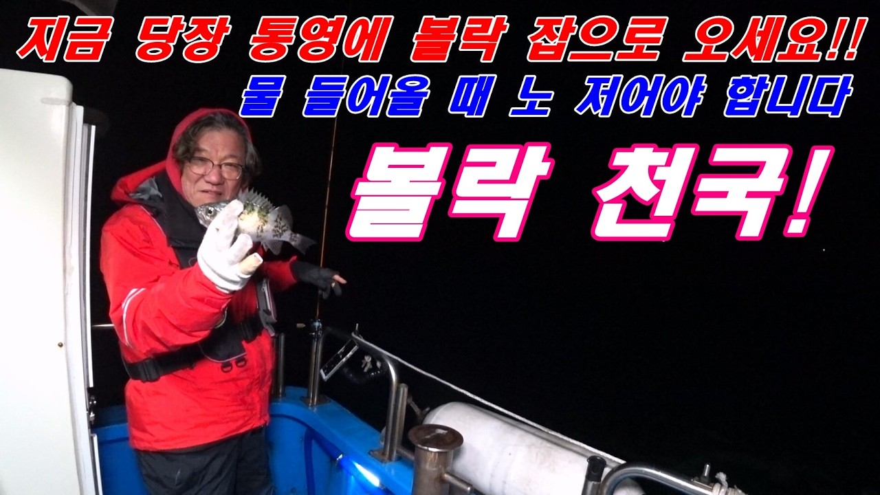 연휴에는 통영에 볼락 잡으로 오이소~!