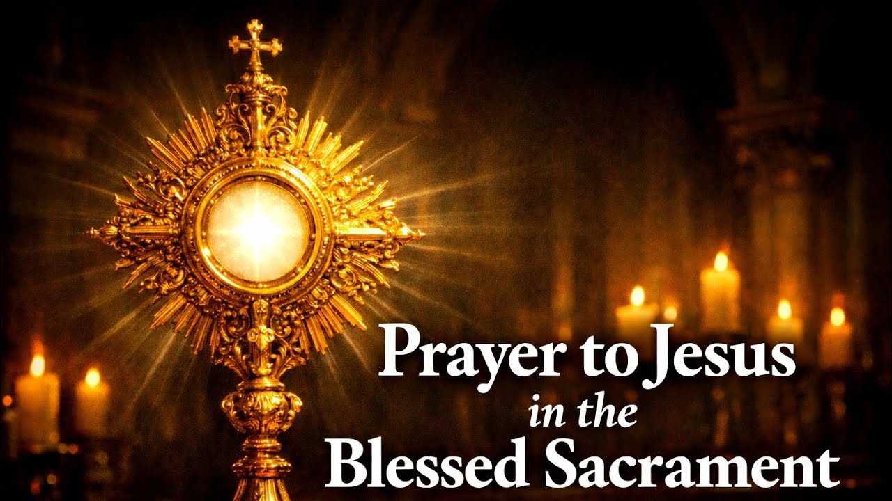 Jesus in the Blessed Sacrament | A Deep Catholic Prayer of Eucharistic Adoration and  Divine Mercy